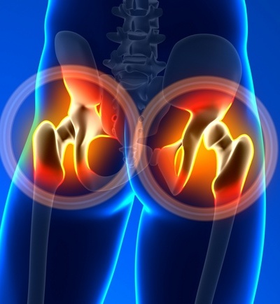 Hips / Groin / Buttock